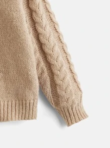 SHEIN Toddler Boys Two Tone Cable Knit Drop Shoulder Jumper - Multicolor - View 4