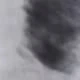 Black and White