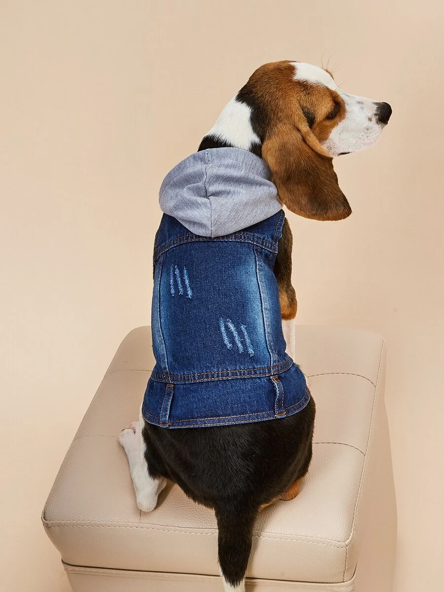 1入組連帽寵物外套 - 藍色 - 查看 1