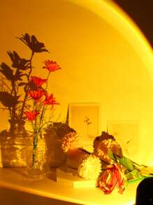 1pc 16 Color Usb Power Led Sunset Projection Light With Remote ,4 Modes Rgb Sunrise Sunset Lamp, Led Night Light Projector For Photography/Selfie Party DECOR,Home Decor,Living Room Decor, Bedroom Decor Light,Camping Decor,Wedding Decor, Gifts For Women,Girls,Friends,Family - Multicolor - View 9