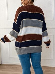 SHEIN LUNE Plus Colorblock Drop Shoulder Sweater