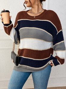 SHEIN LUNE Plus Colorblock Drop Shoulder Sweater