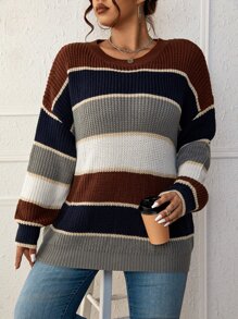 SHEIN LUNE Plus Colorblock Drop Shoulder Sweater