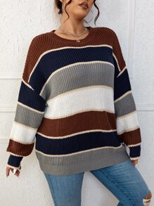 SHEIN LUNE Plus Colorblock Drop Shoulder Sweater