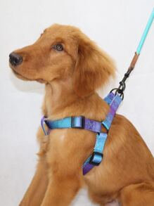 Supet 1pc Colorful Pet Vest Harness With Leash, Adjustable, Suitable For Medium And Small Dogs, Outdoor Walking Fashion Chest Back Set - Multicolor - View 2