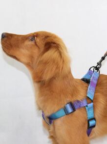 Supet 1pc Colorful Pet Vest Harness With Leash, Adjustable, Suitable For Medium And Small Dogs, Outdoor Walking Fashion Chest Back Set - Multicolor - View 3