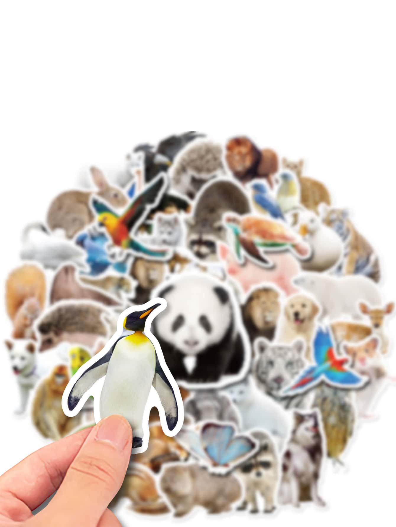 50pcs Animal Pattern Sticker - Multicolor - View 3