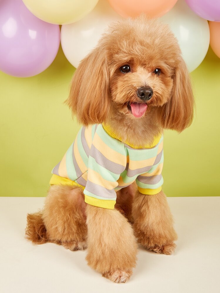 條紋圖案寵物連帽衫 - 彩色 - 查看 2