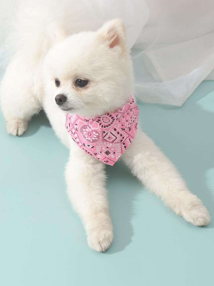 4pcs Floral Pattern Pet Bandana With Tow Buckle - Multicolor - View 3