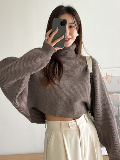DAZY Turtleneck Batwing Sleeve Sweater,Long Sleeve Tops,Fall Women Clothes