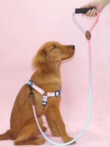 Supet 1入組撞色寵物牽引繩 - 彩色 - 查看 2