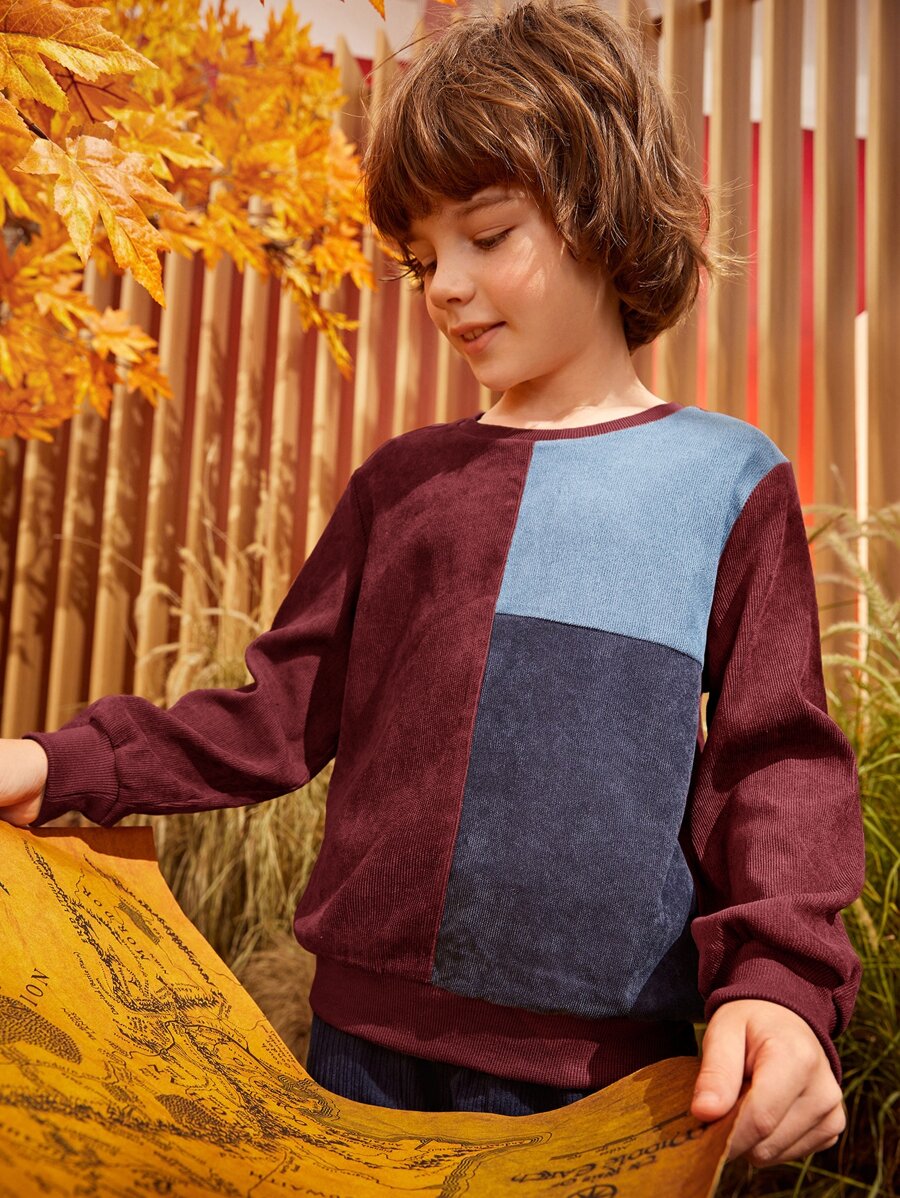 SHEIN Niños Pullover de cuello redondo de color combinado - Multicolor - Ver 1