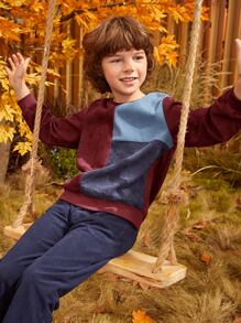 SHEIN Niños Pullover de cuello redondo de color combinado - Multicolor - Ver 9