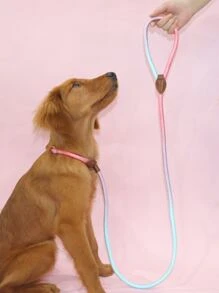 Supet 1 mảnh Colorblock Pet Leash - Nhiều màu - Xem 2