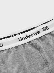 SHEIN Extended Sizes Men 3pcs Letter Tape Boxer Brief - Multicolor - View 3