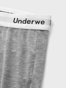 SHEIN Extended Sizes Men 3pcs Letter Tape Boxer Brief - Multicolor - View 4