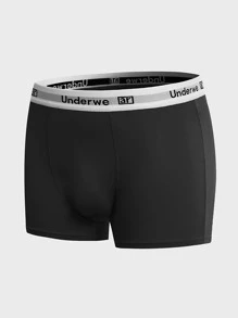 SHEIN Extended Sizes Men 3pcs Letter Tape Boxer Brief - Multicolor - View 8