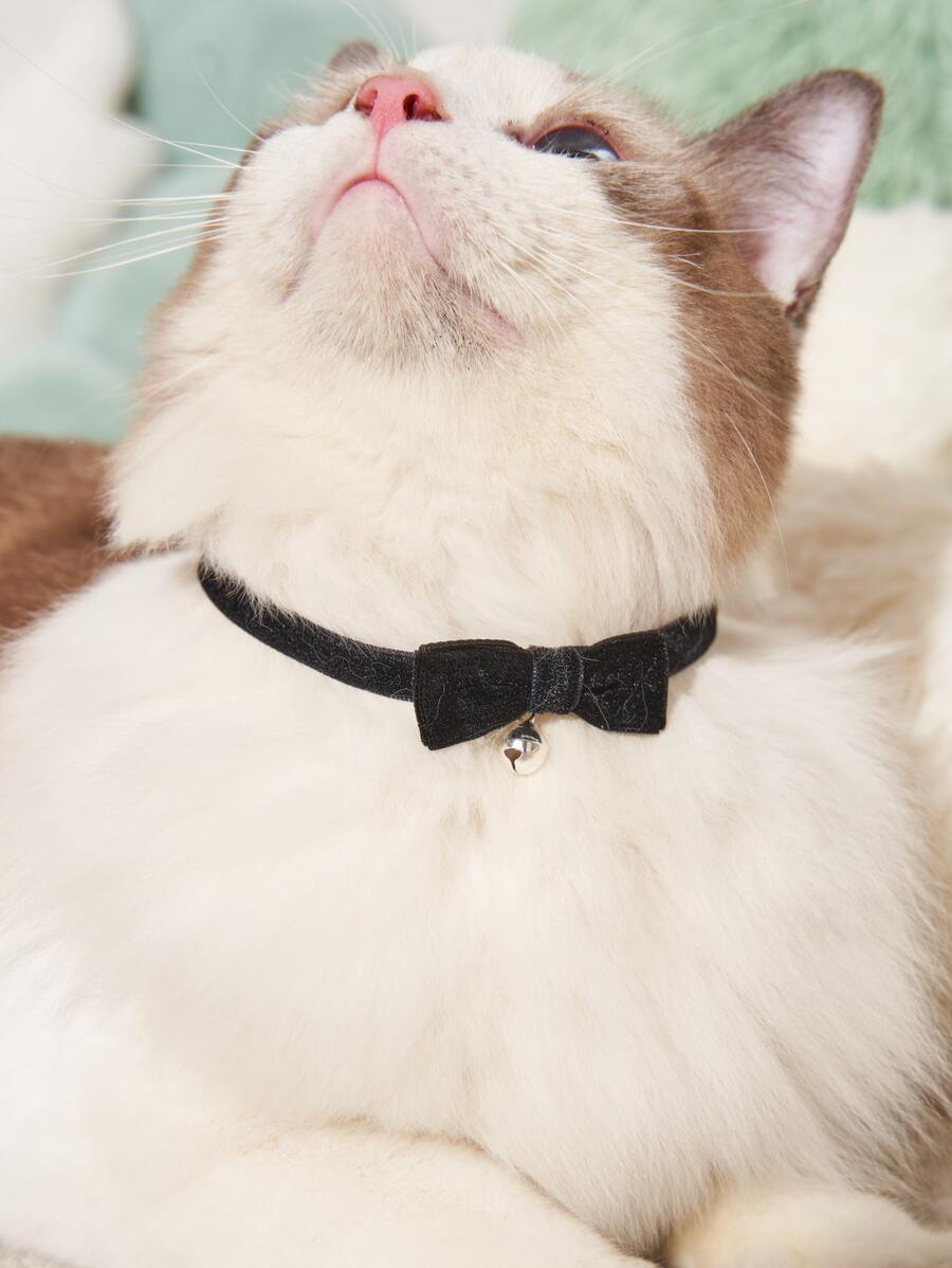 Bow Decor Pet Necklace With Bell - Black - View 1