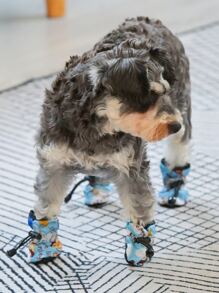 2入組卡通圖案寵物靴子