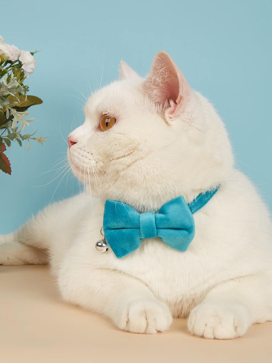 蝴蝶結裝飾寵物項圈 - 藍色 - 查看 1