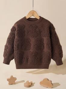 Toddler Boys Solid Crew Neck Jumper - Coffee Brown - View 1