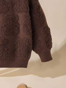 Toddler Boys Solid Crew Neck Jumper - Coffee Brown - View 4