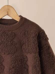 Toddler Boys Solid Crew Neck Jumper - Coffee Brown - View 3