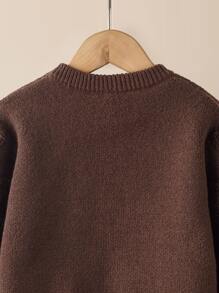 Toddler Boys Solid Crew Neck Jumper - Coffee Brown - View 7