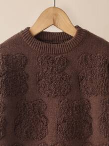 Toddler Boys Solid Crew Neck Jumper - Coffee Brown - View 6