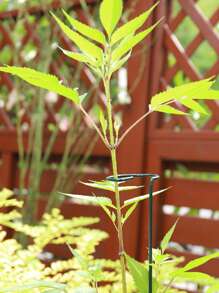 1pc Random Green Color Iron Support Rod For Plants - Green - View 4