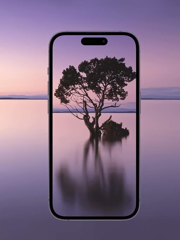 2 片高清保護強化膜和 2 片鏡頭保護膜相容於 iPhone 15/15Pro/15Plus/15Promax - 無色 - 查看 5