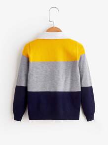 SHEIN Chàng trai trẻ Khối màu Cổ áo tương phản Xoắn Dan Áo len - Nhiều màu - Xem 2