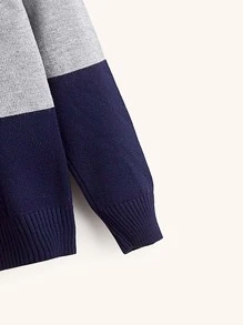 SHEIN Chàng trai trẻ Khối màu Cổ áo tương phản Xoắn Dan Áo len - Nhiều màu - Xem 4