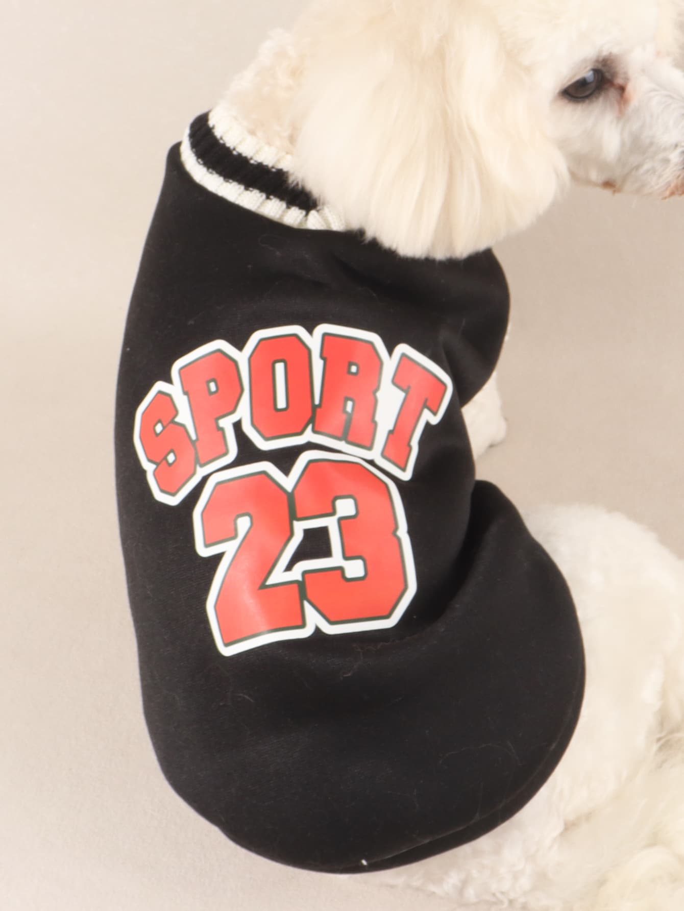 1 Áo thun họa tiết chữ cái cho thú cưng, Áo dệt kim cổ chữ V - màu đen - Xem 1