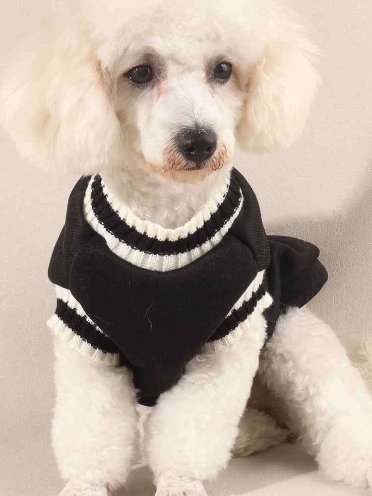 1 Áo thun họa tiết chữ cái cho thú cưng, Áo dệt kim cổ chữ V - màu đen - Xem 4