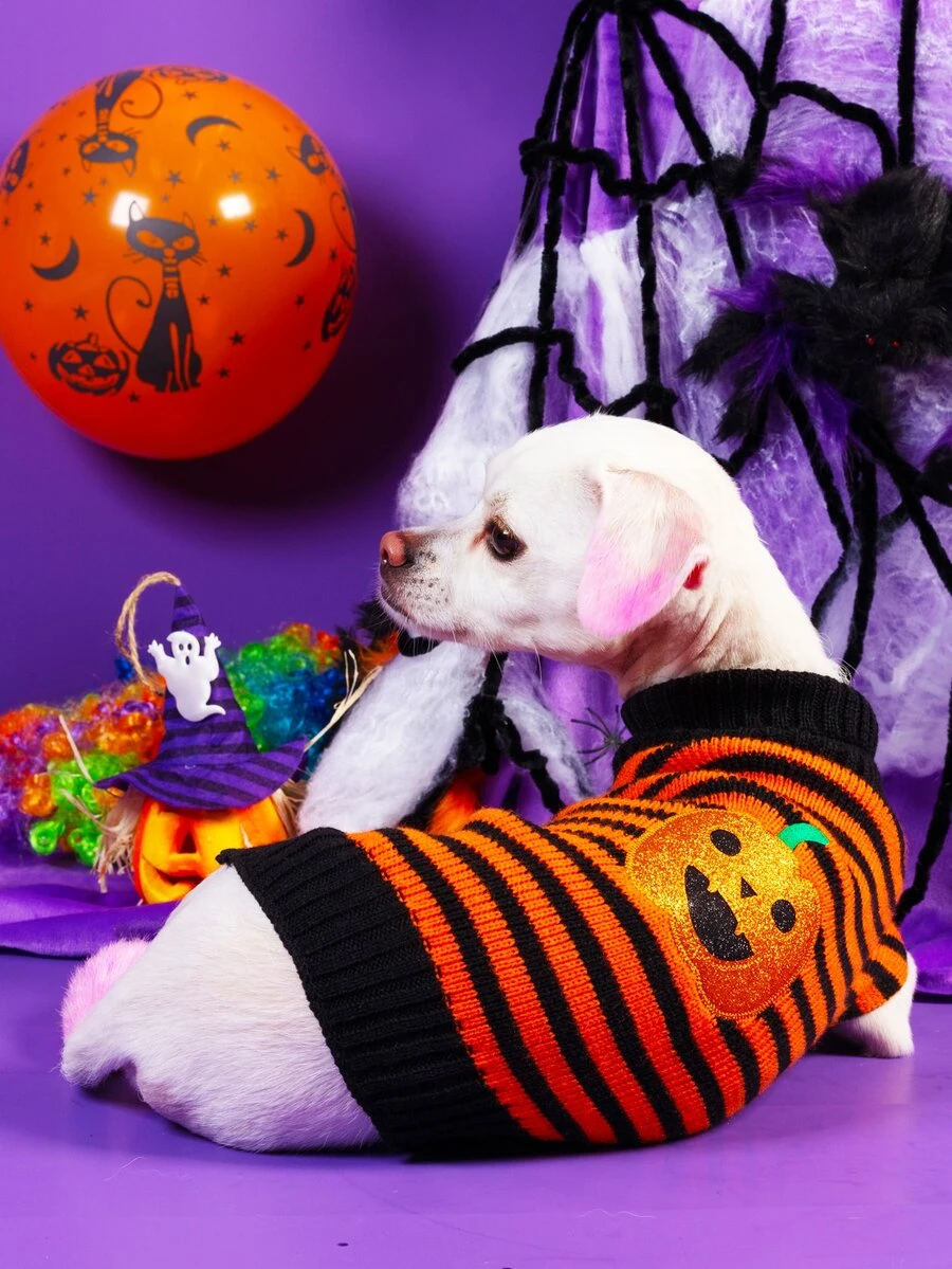 Halloween Pumpkin Print Pet Sweater - Multicolor - View 1