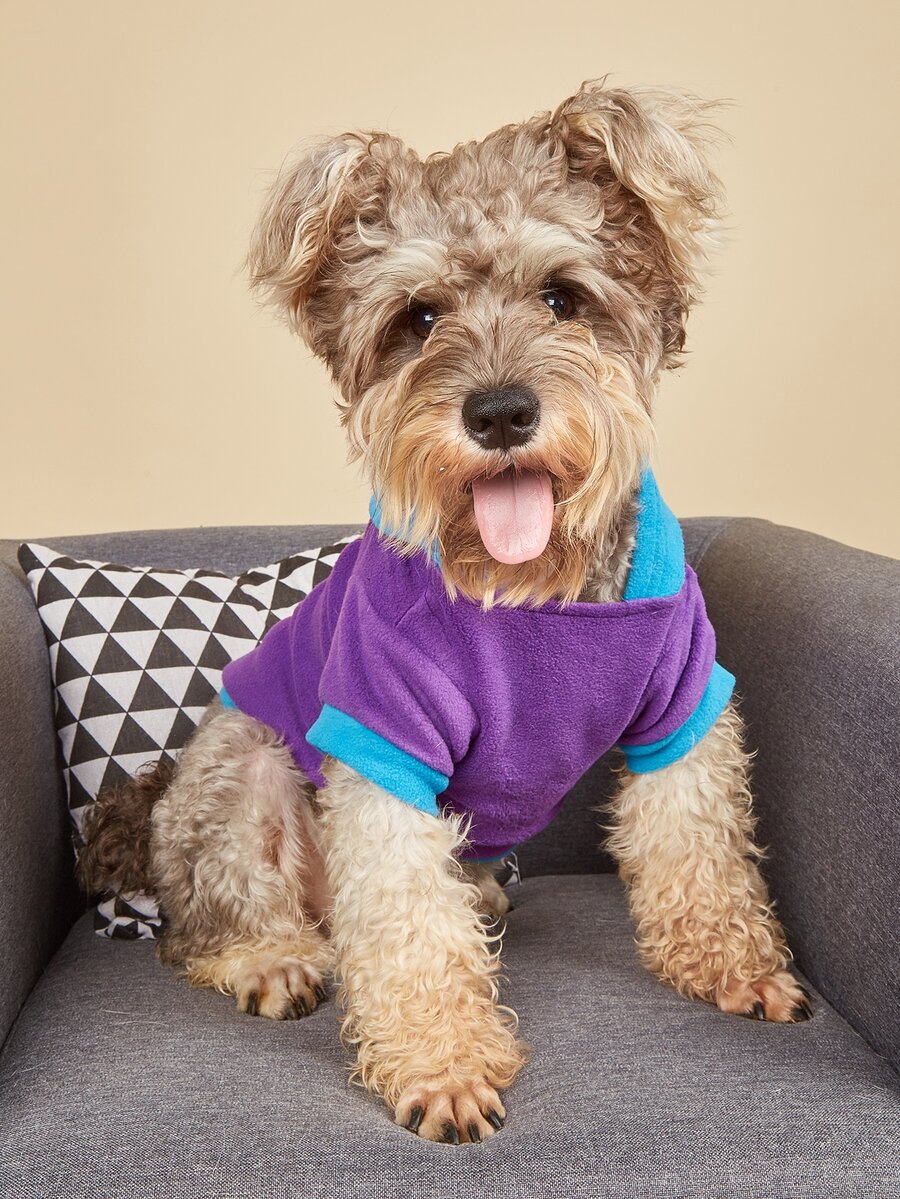 1pc Paw & Letter Embroidered Pet Hoodie - Purple - View 1