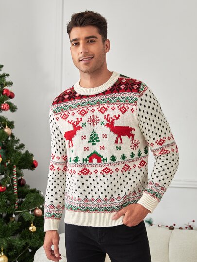 Guys 1pc Christmas Pattern Sweater