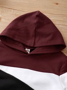 SHEIN Toddler Boys Colour Block Hoodie & Joggers - Multicolor - View 4