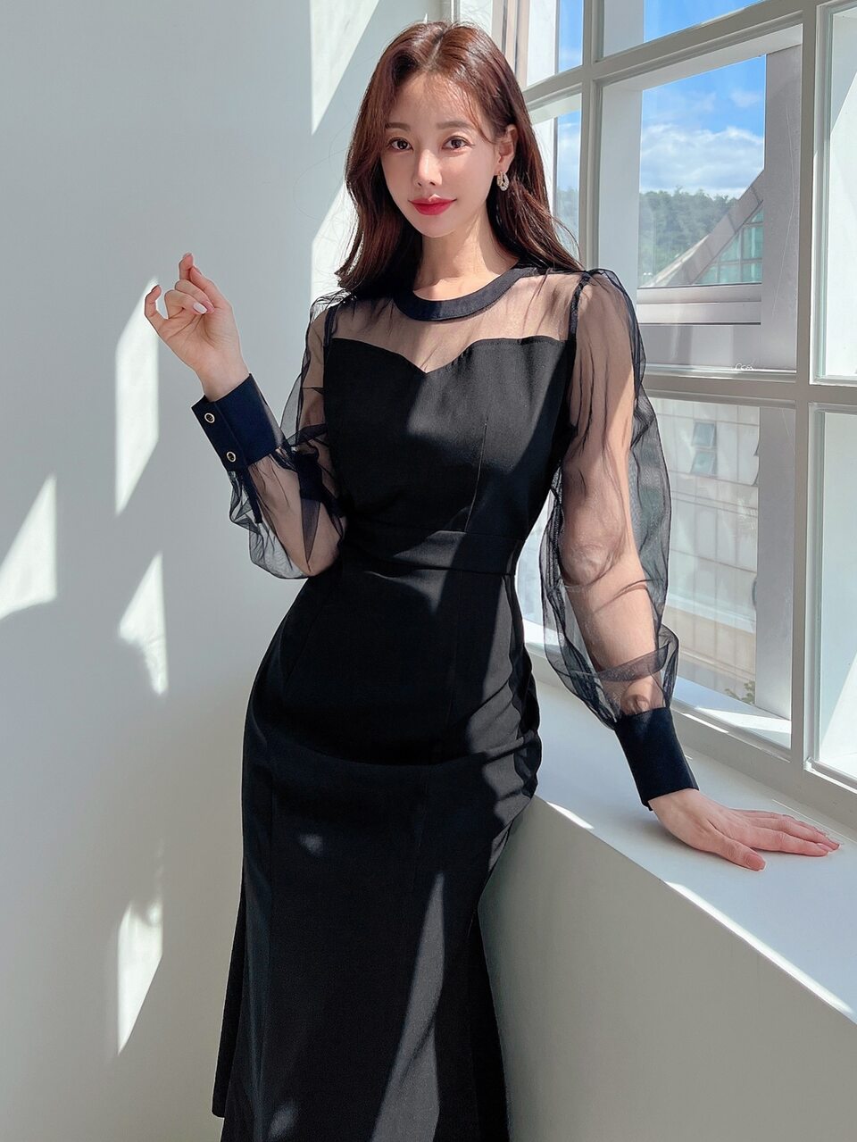 Contrast Mesh Puff Sleeve Dress Semi-Sheer Dress,Fall Dress