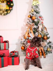 nicovaer Giáng sinh Dày lên Cốt lõi Sợi Thú cưng Áo len Mở Áo khoác len , Đỏ  , 1 Miếng - Đỏ - Xem 5