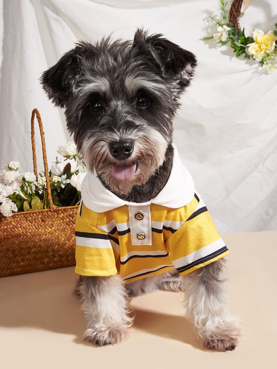 1件全新宠物衣服，ins风狗狗polo衫，猫咪服装