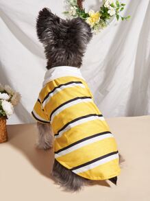 1件全新宠物衣服，ins风狗狗polo衫，猫咪服装