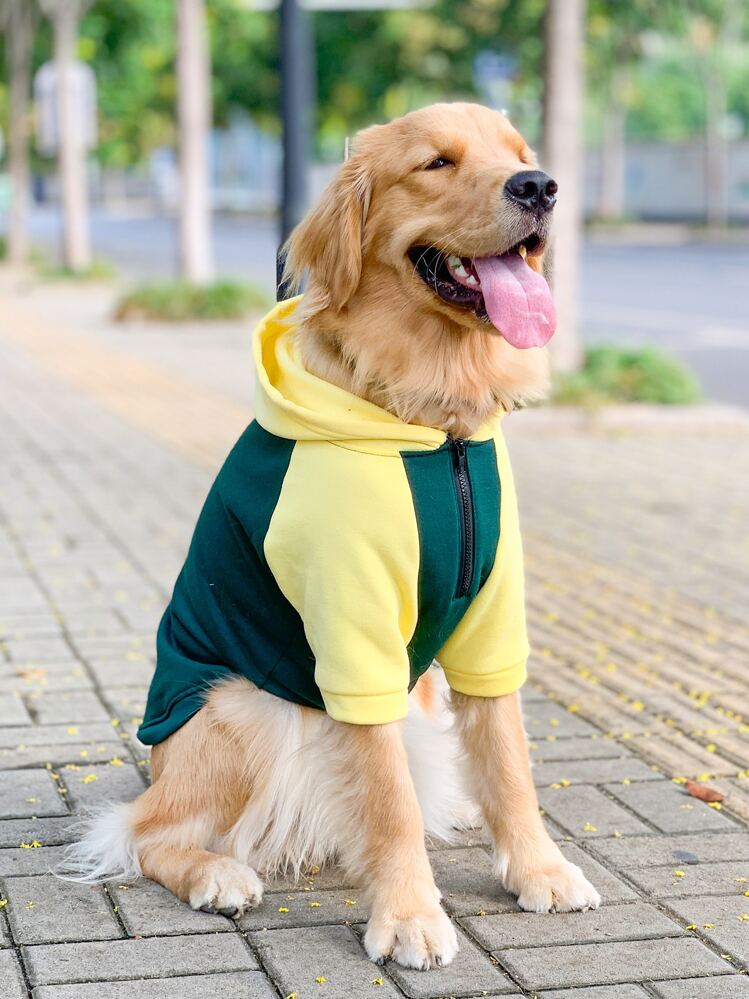 犬用コート ゴールデン・レトリバー サモエド・ラブラドールなど大型