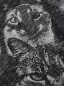 ROMWE PUNK Top mit Grunge Katze Muster, Wellensaum, Crop Mesh ohne BH