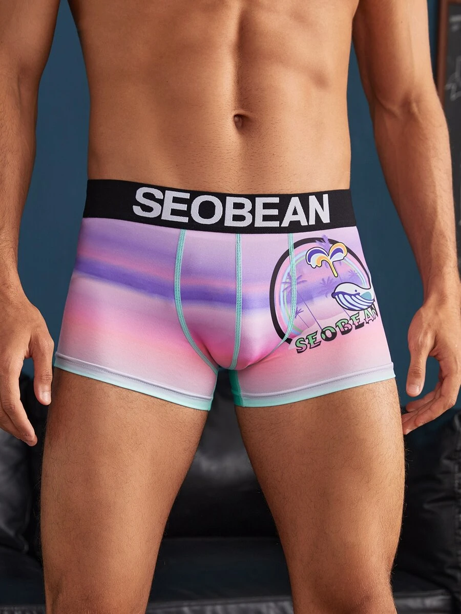 Hombres Calzoncillos boxer de ombré con estampado de letra - Multicolor - Ver 1