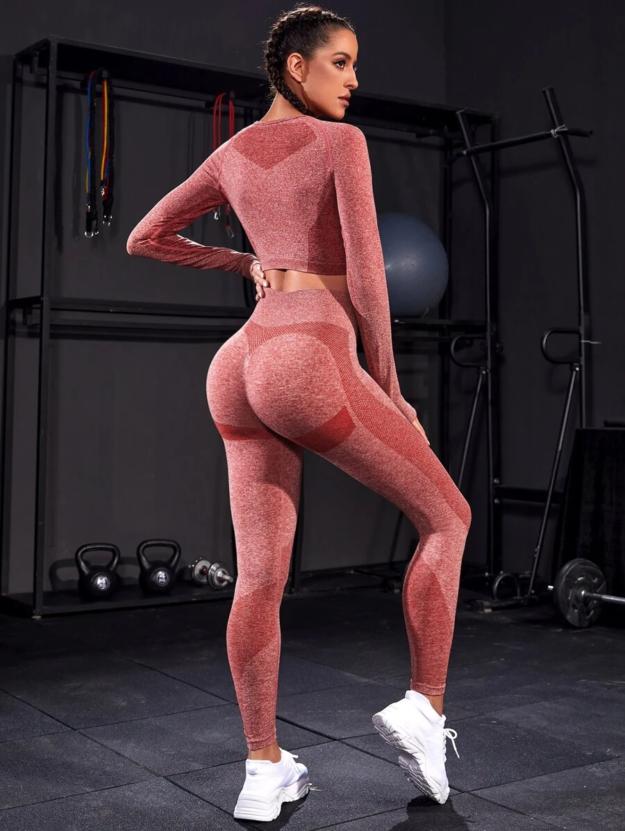 Seamless Raglan Sleeve Thumb Holes Wide Waistband Sports Set Yoga Suitred Workout Set - Rusty Rose - View 1