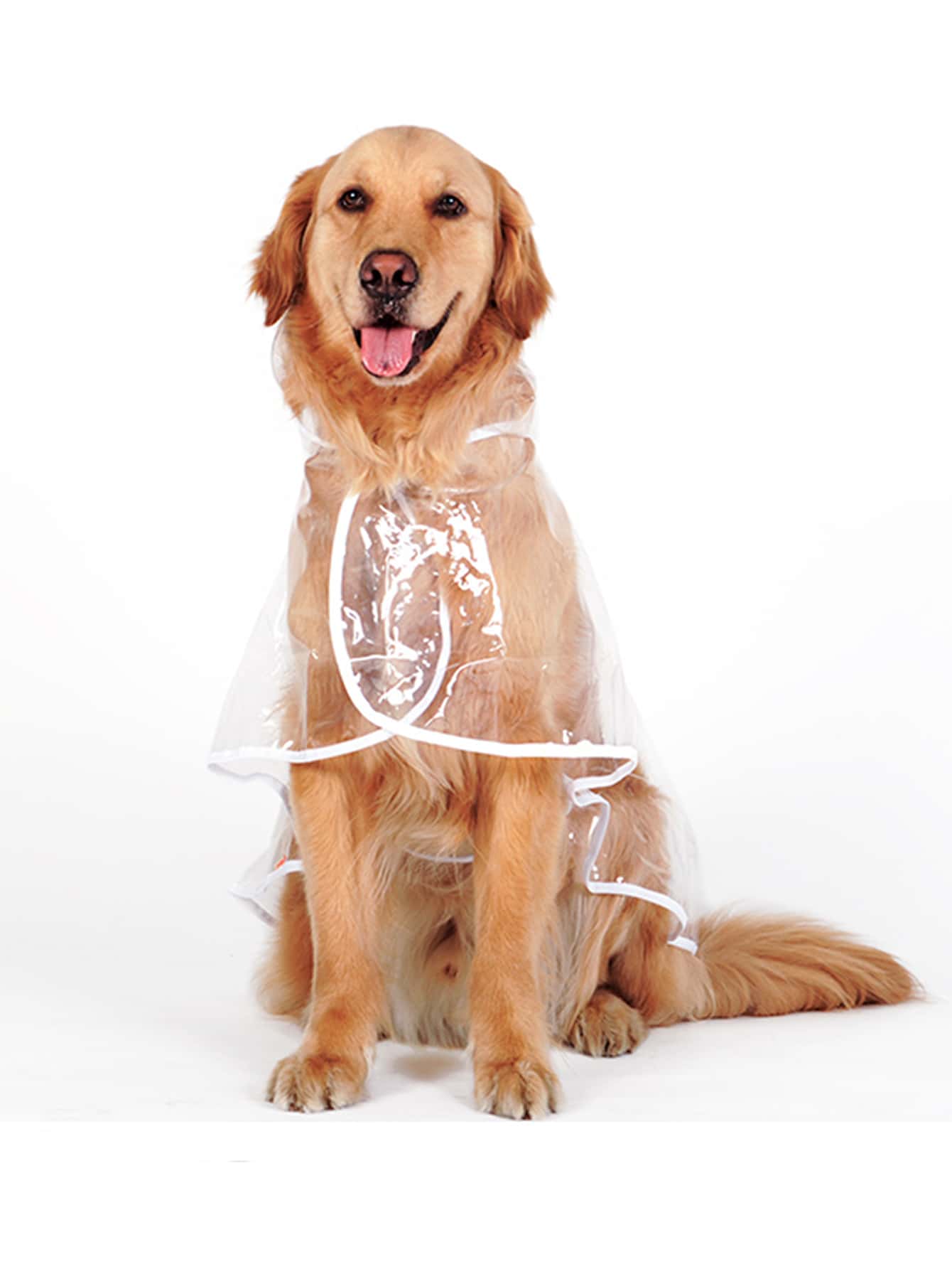 Letter Graphic Clear Pet Raincoat - Clear - View 1