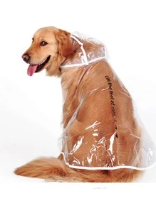 Letter Graphic Clear Pet Raincoat - Clear - View 2
