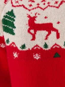 SHEIN Teen Girls Christmas Pattern Raglan Sleeve Jumper Dress - Red - View 5